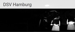 DSV Logo