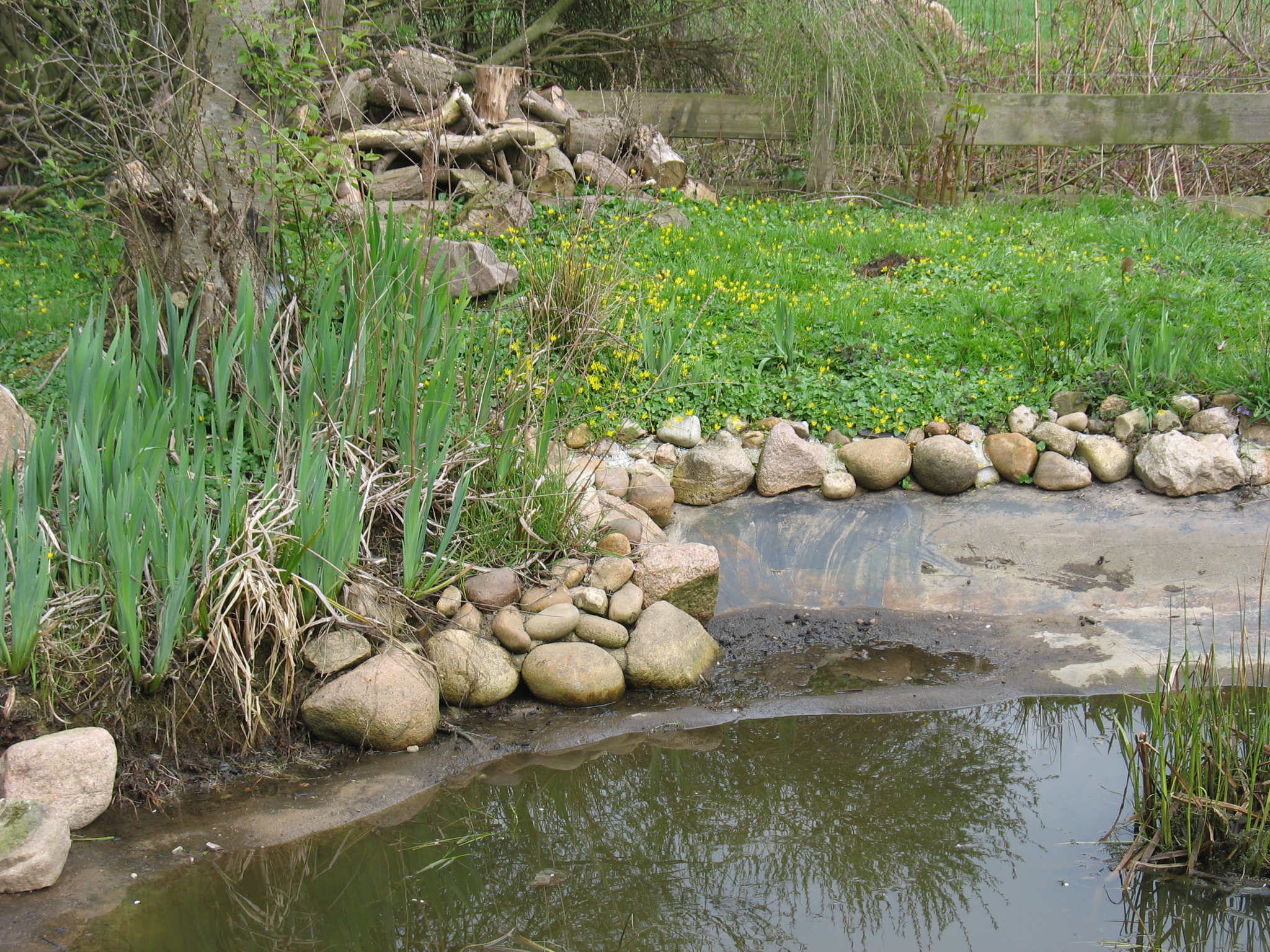 Kamera 12.5.2011 051