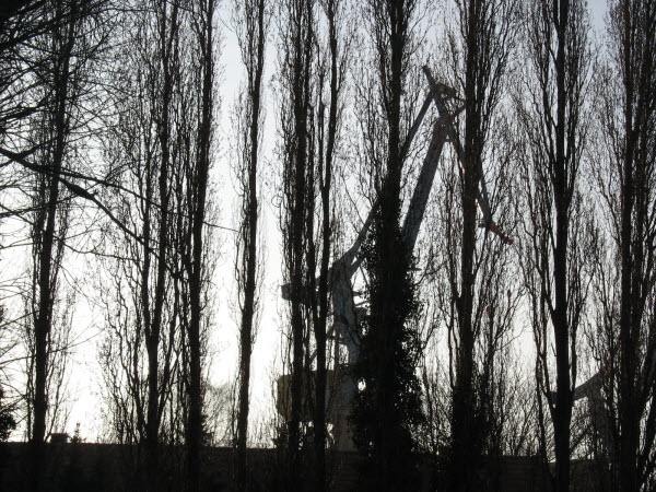 �bertragung M�rz12 031